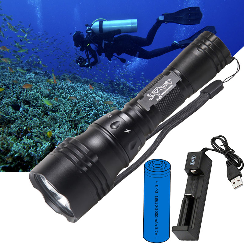 Duiklamp Draagbaar 10W T6 L2 L - Fish Finder Charger recensie en prijs